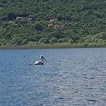 Haustor With Skadar View Hébergement de vacances