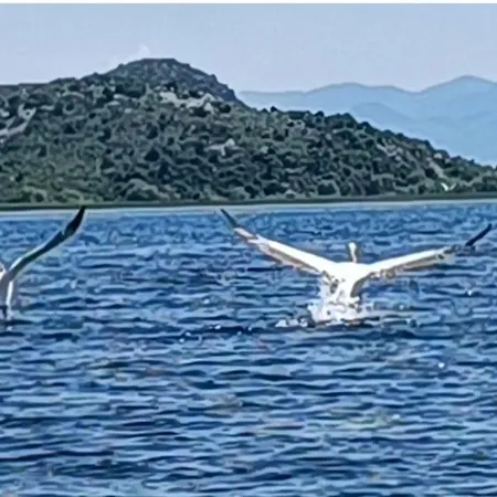 度假居 Haustor With Skadar View *