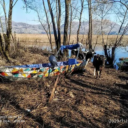 Haustor With Skadar View * 波德戈里察