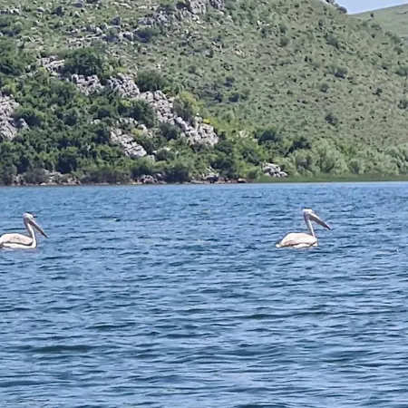 Haustor With Skadar View 波德戈里察
