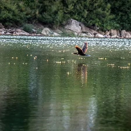 Haustor With Skadar View 度假居