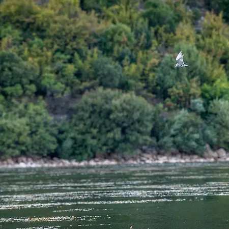Haustor With Skadar View 波德戈里察
