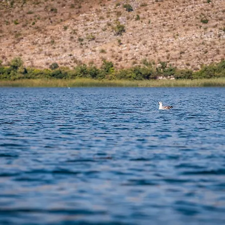 度假居 Haustor With Skadar View 波德戈里察