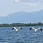 بيت للعطل Haustor With Skadar View *