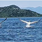 Feriehus Haustor With Skadar View *