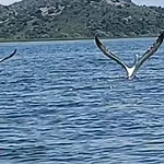 Haustor With Skadar View * بودغوريتْسا