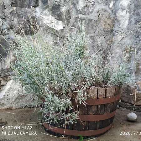 Haustor With Skadar View *