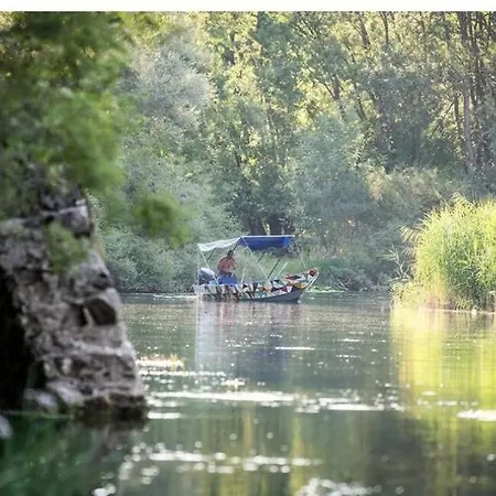 Будинок відпочинку Haustor With Skadar View Подгориця