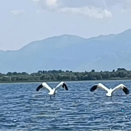 Holiday home Haustor With Skadar View *