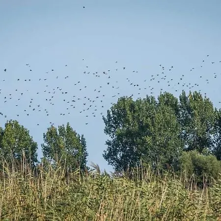 度假居 Haustor With Skadar View