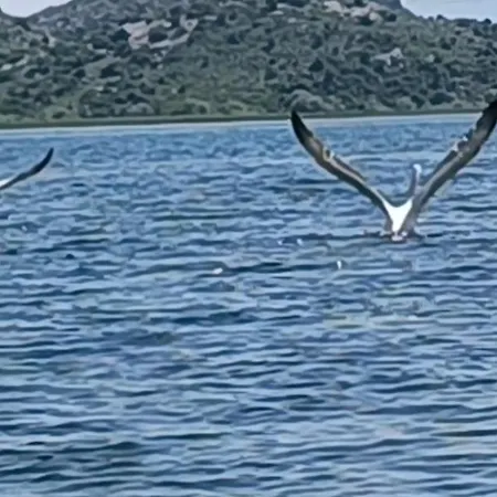 Haustor With Skadar View * Подгориця