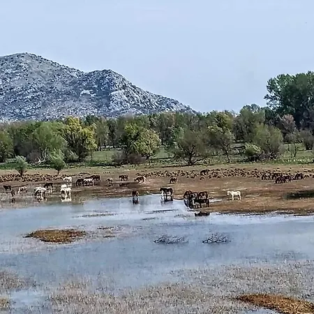 Haustor With Skadar View Holiday home *