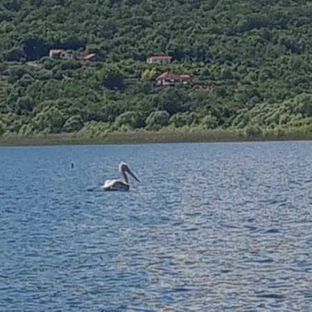 Haustor With Skadar View Сasa de vacaciones