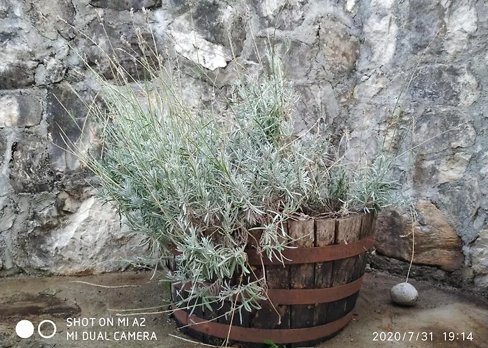Haustor With Skadar View *