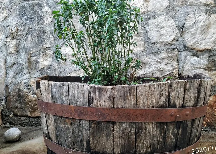 Haustor With Skadar View Сasa de vacaciones Podgorica