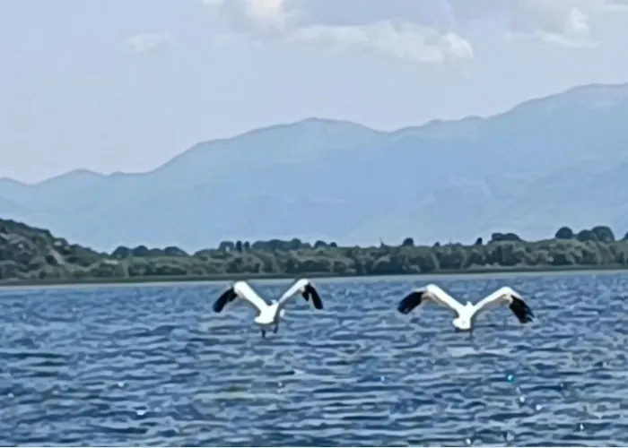 Hébergement de vacances Haustor With Skadar View *
