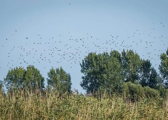 Hébergement de vacances Haustor With Skadar View