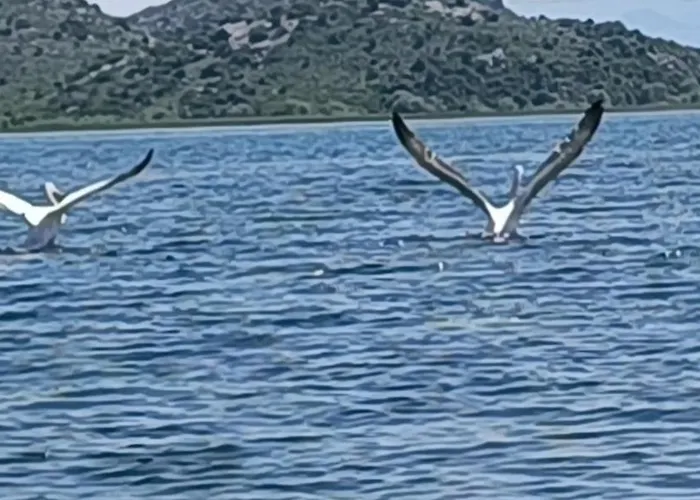 Haustor With Skadar View * Podgorica