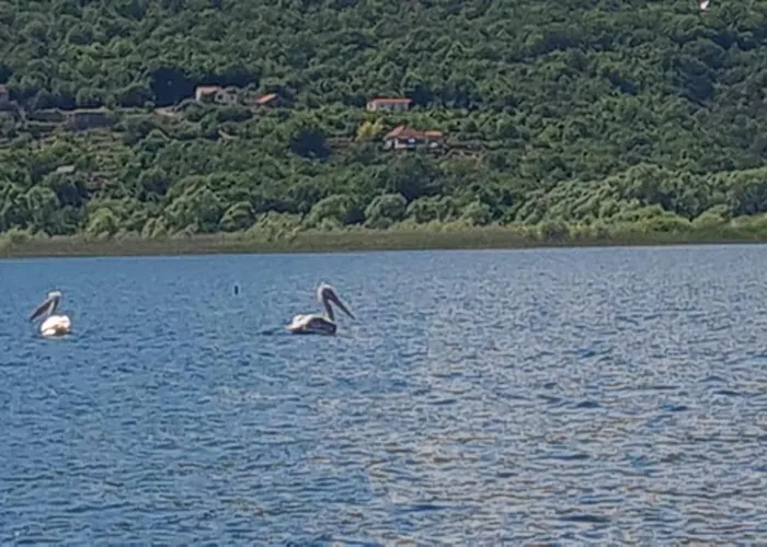 Haustor With Skadar View Hébergement de vacances