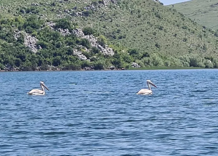 Haustor With Skadar View Podgorica