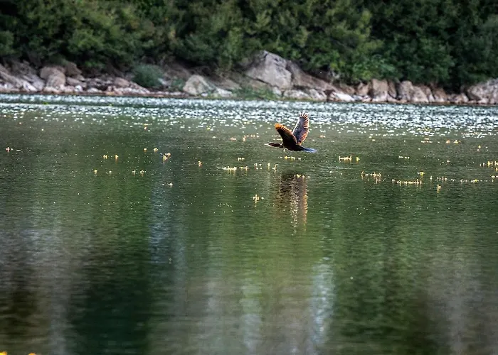 Haustor With Skadar View Сasa de vacaciones