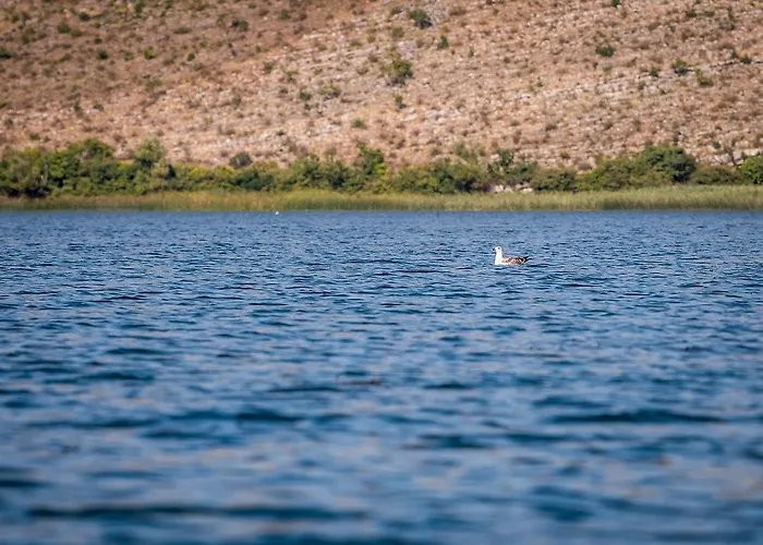 Сasa de vacaciones Haustor With Skadar View Podgorica